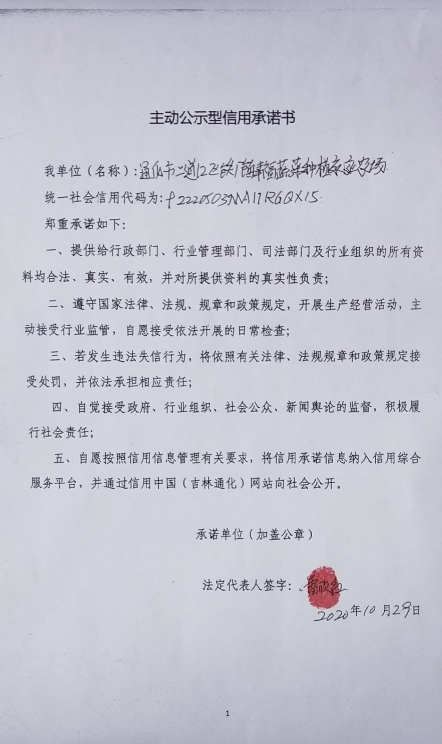 通化市二道江区铁厂镇幸福蔬菜种植家庭农场.jpg