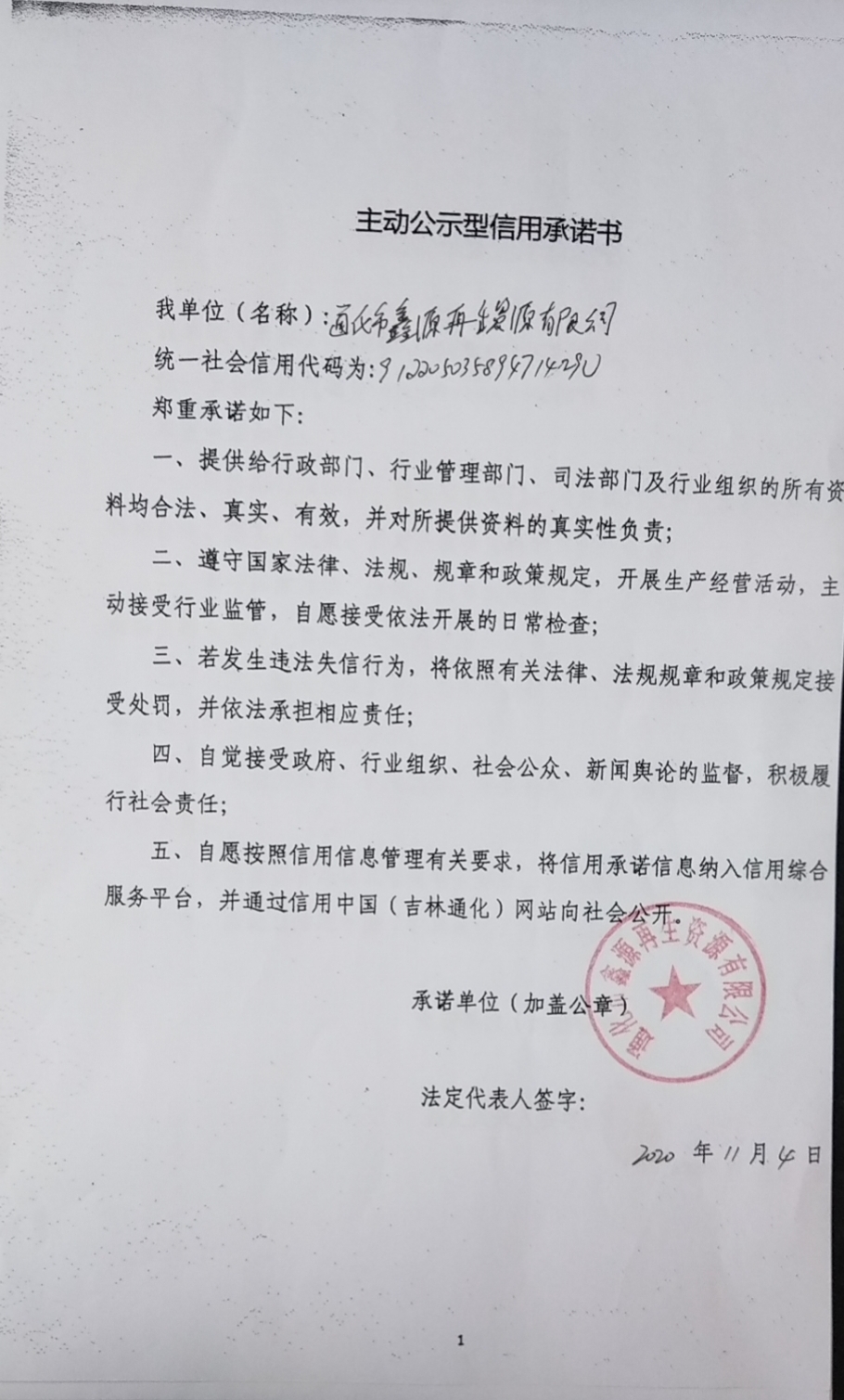 通化市鑫源再生资源有限公司.jpg