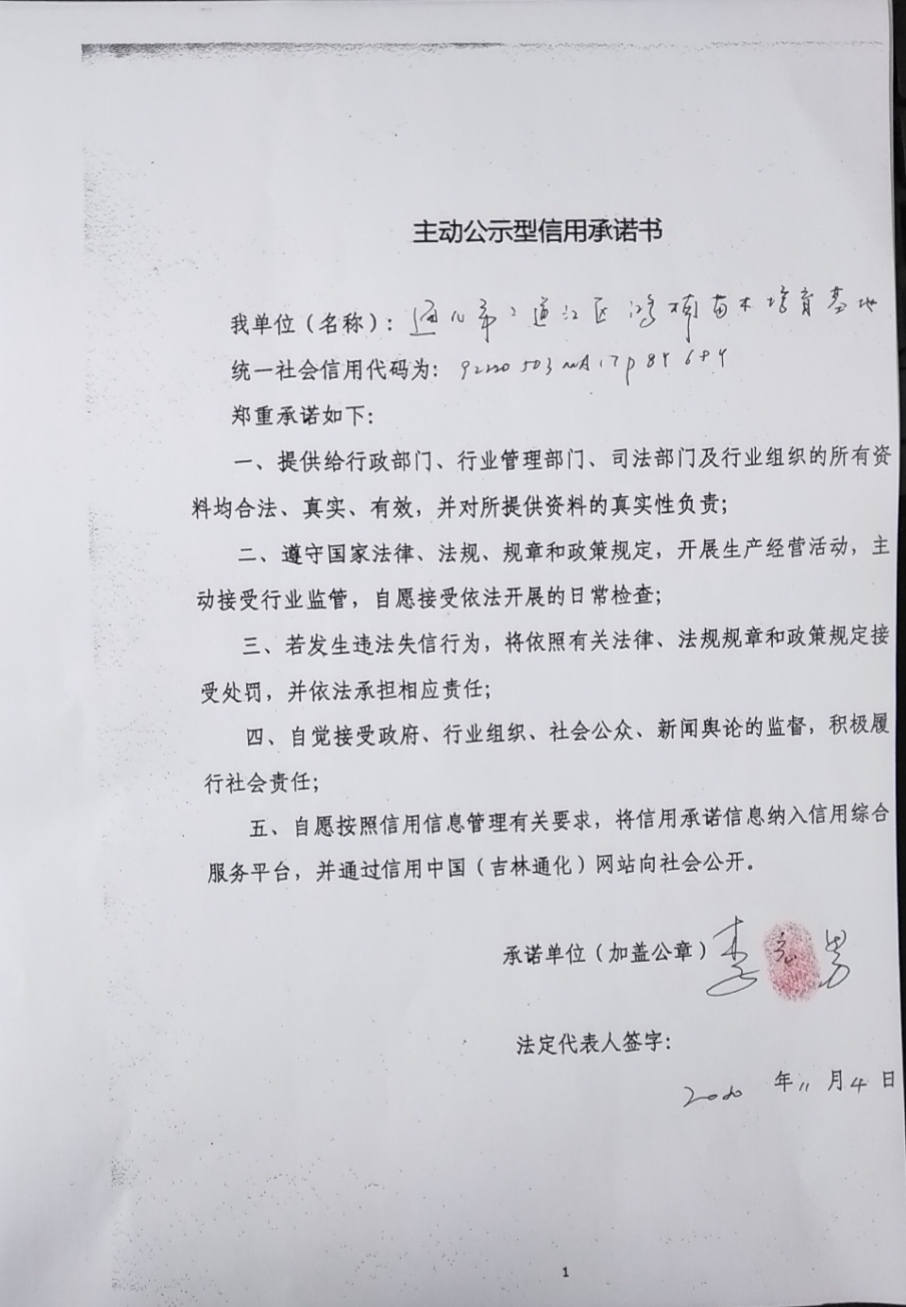 通化市二道江区鸿楠苗木培育基地.jpg