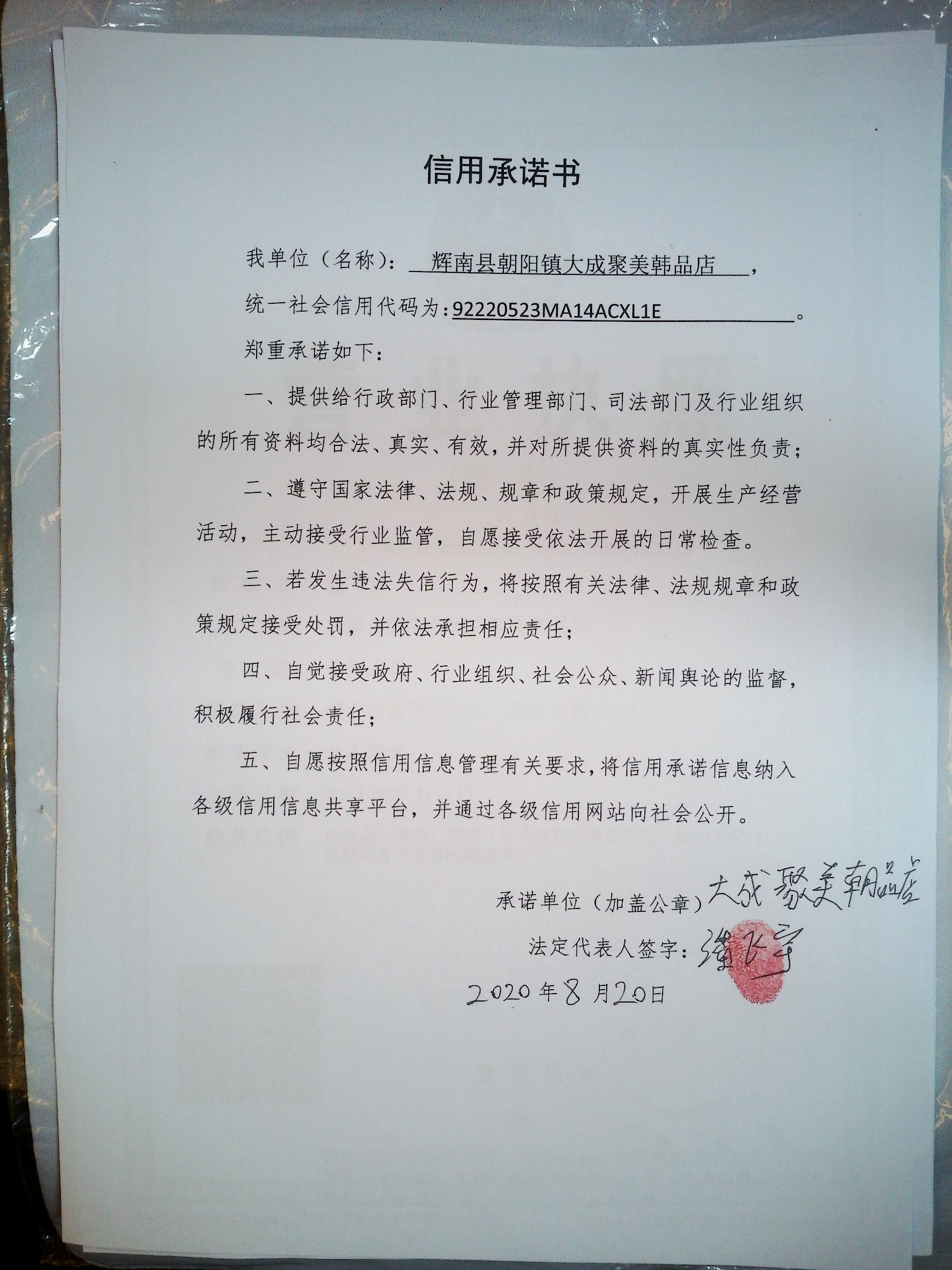 辉南县朝阳镇大成聚美韩品店.jpg