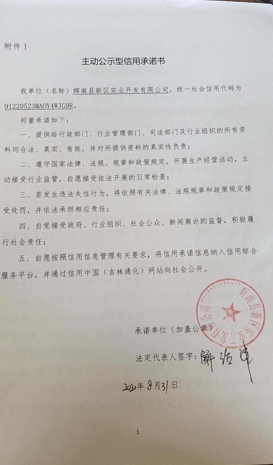 辉南县新区实业开发有限公司主动公示型.jpg