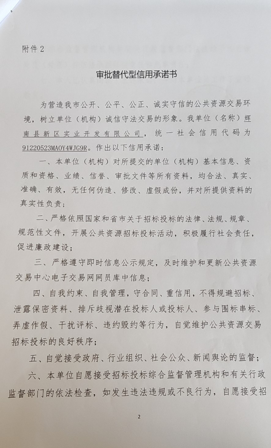 辉南县新区实业开发有限公司审批替代型1.jpg