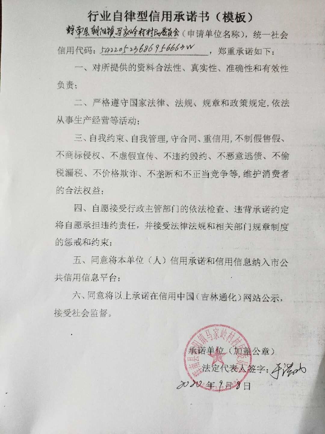 辉南县朝阳镇马家岭村村民委员会（行业自律）.jpg