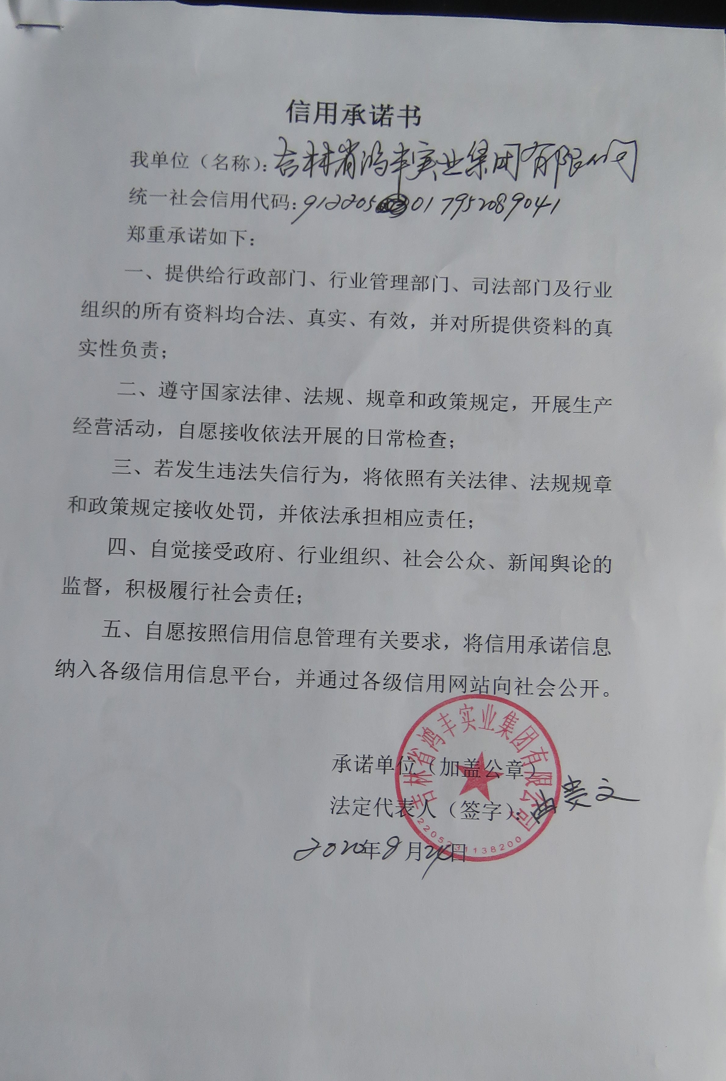 吉林省鸿丰实业集团有限公司.JPG