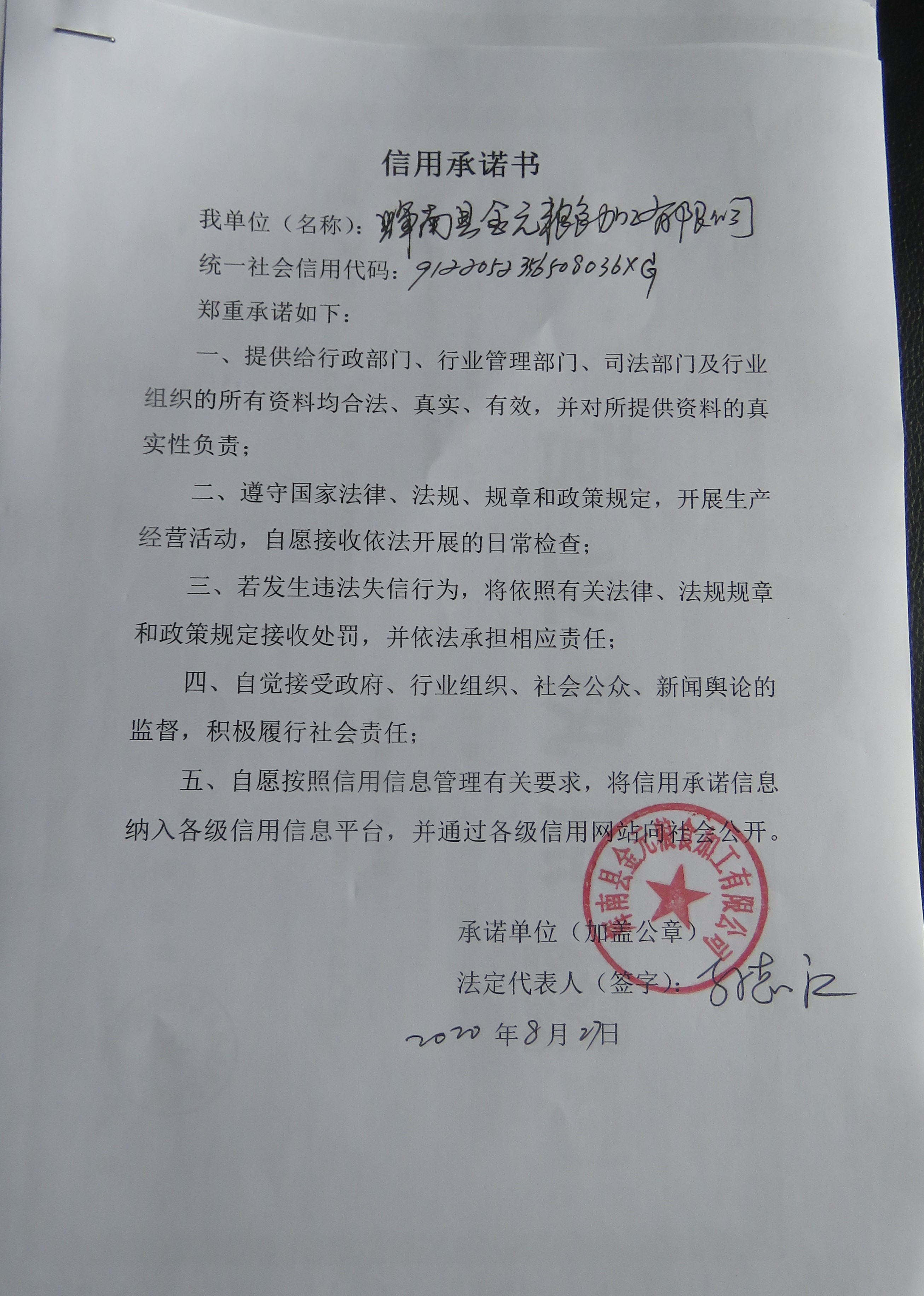 辉南县金元粮食加工有限公司.JPG