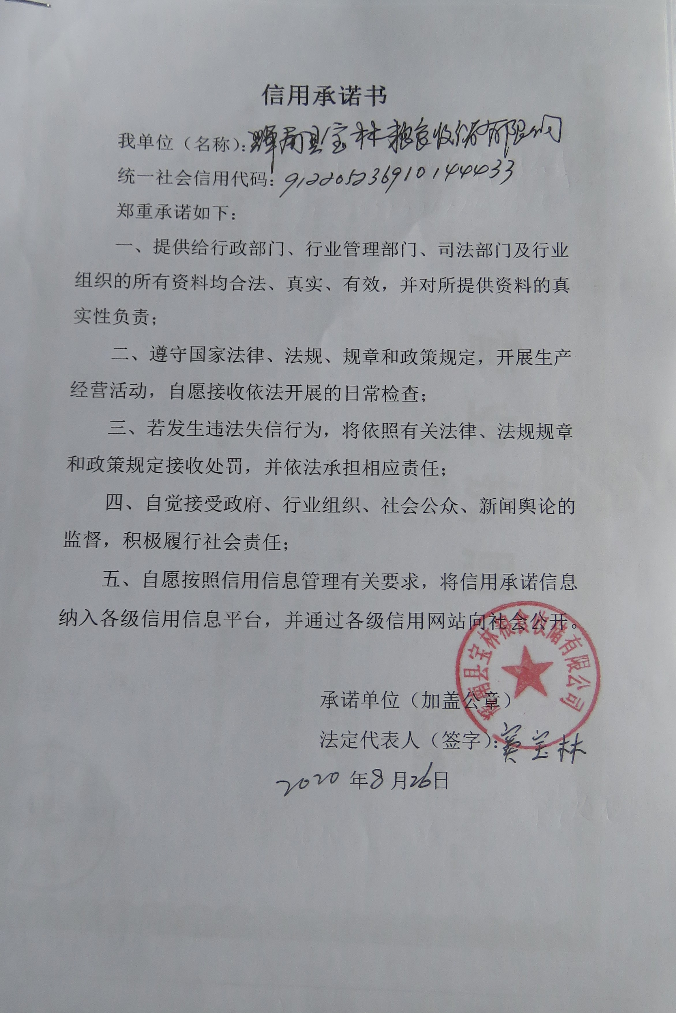 辉南县宝林粮食收储有限公司.JPG