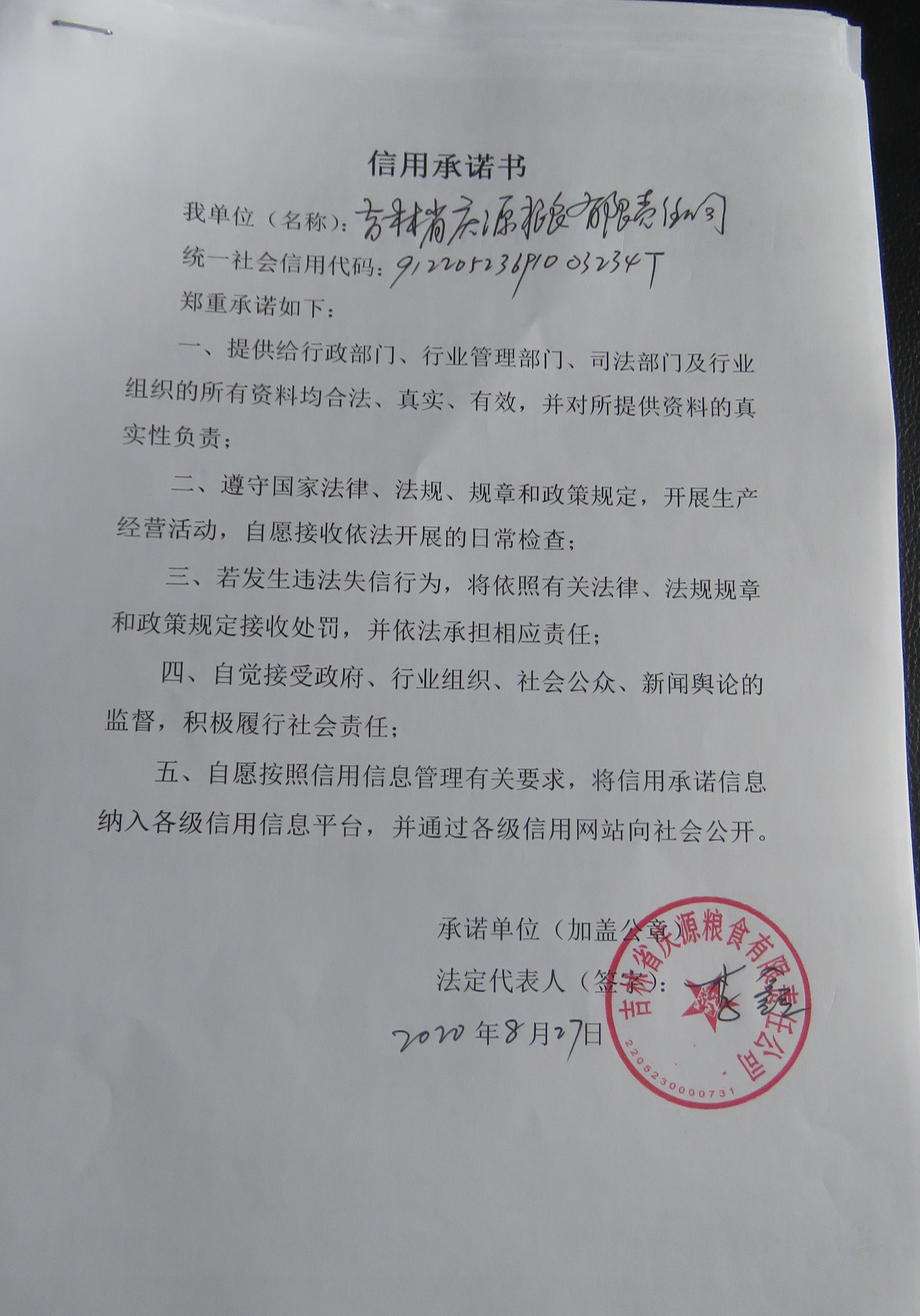 辉南县庆源粮食有限责任公司.JPG