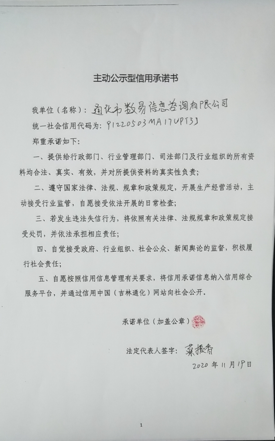 通化市数易信息咨询有限公司.jpg
