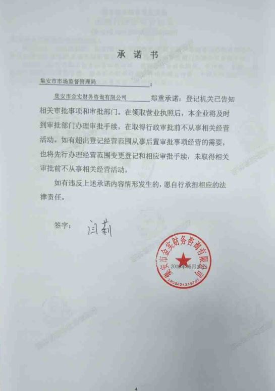 集安市金实财务咨询有限公司.JPG