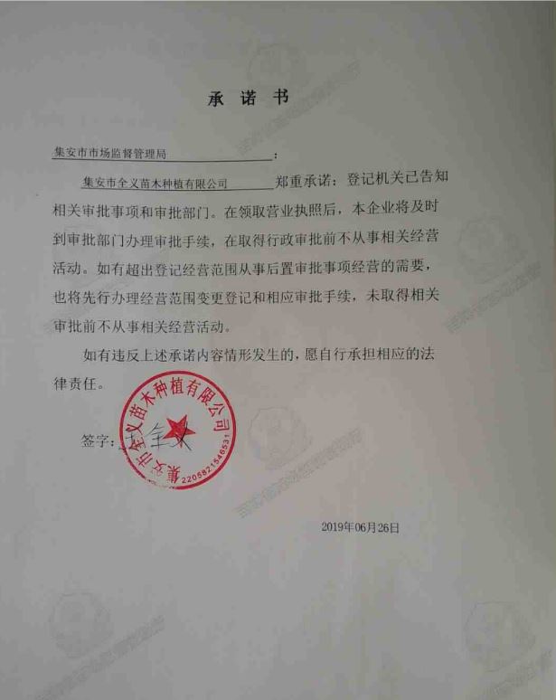 集安市全义苗木种植有限公司.JPG