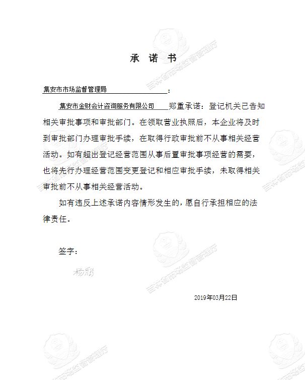 集安市金财会计咨询服务有限公司.JPG