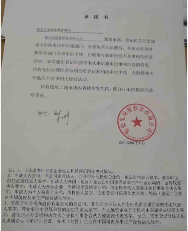 集安市琦智参业有限公司.jpg