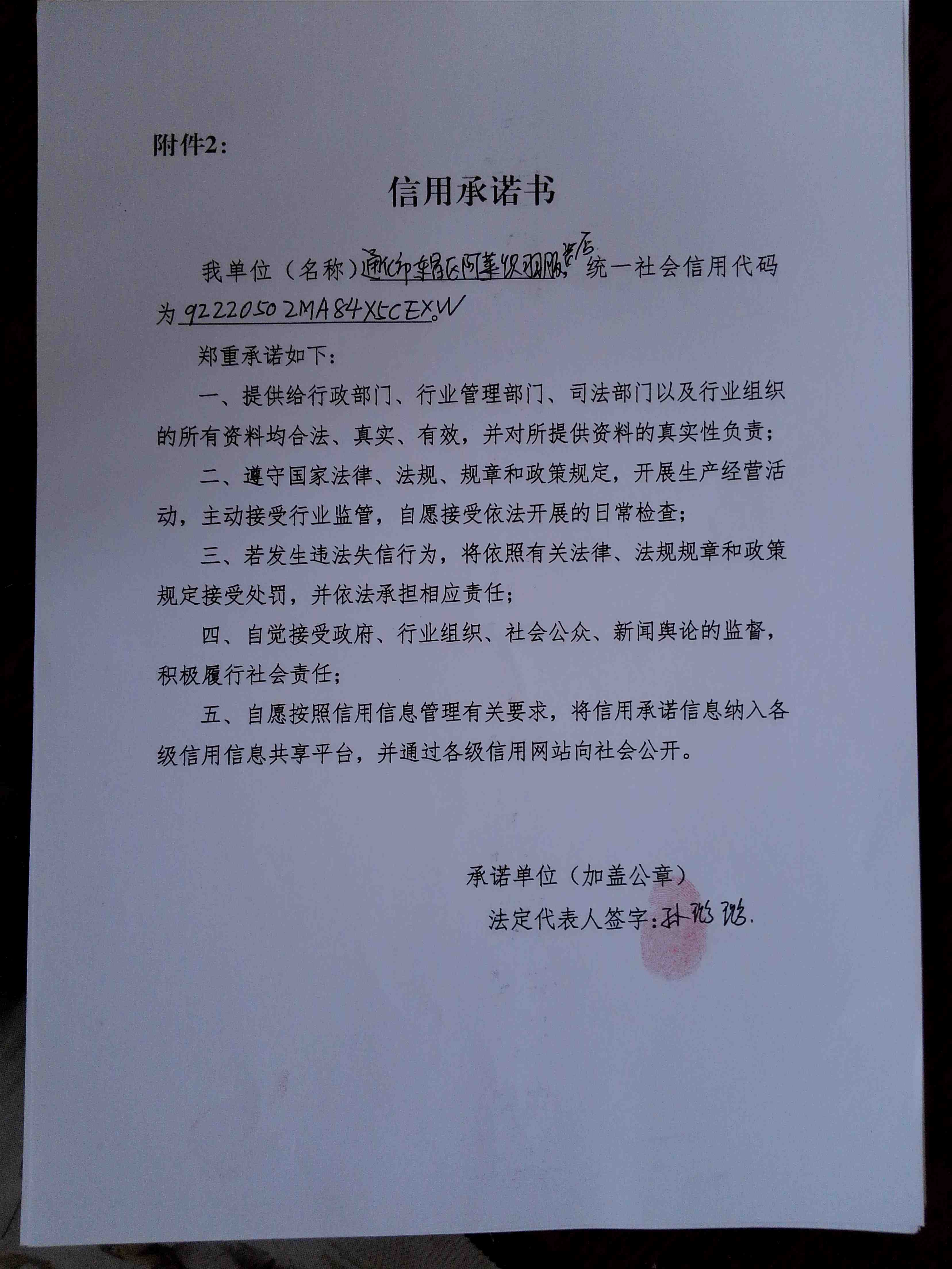 通化市东昌区阿莱织羽服装店.jpg
