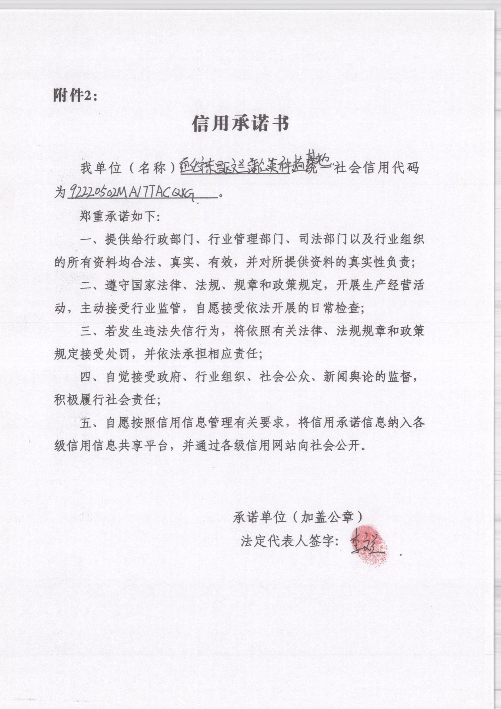 通化市东昌区文兰蒲公英种植基地.jpg