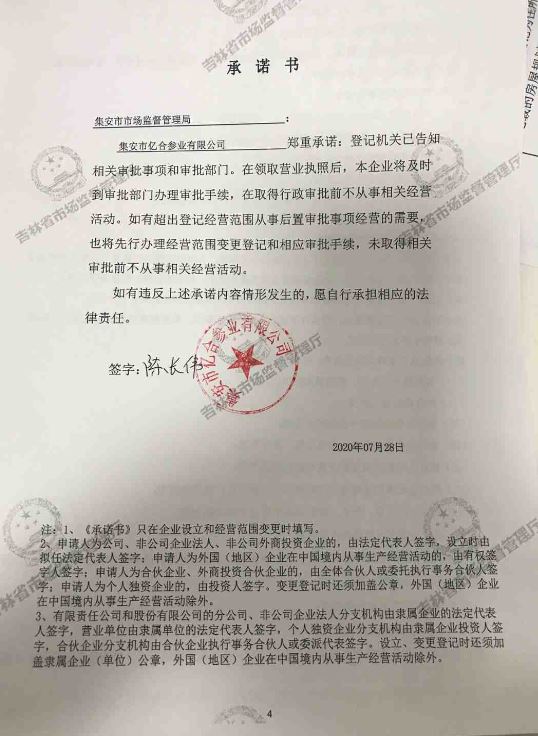 集安市亿合参业有限公司.JPG