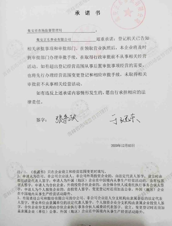 集安正东参业有限公司.JPG