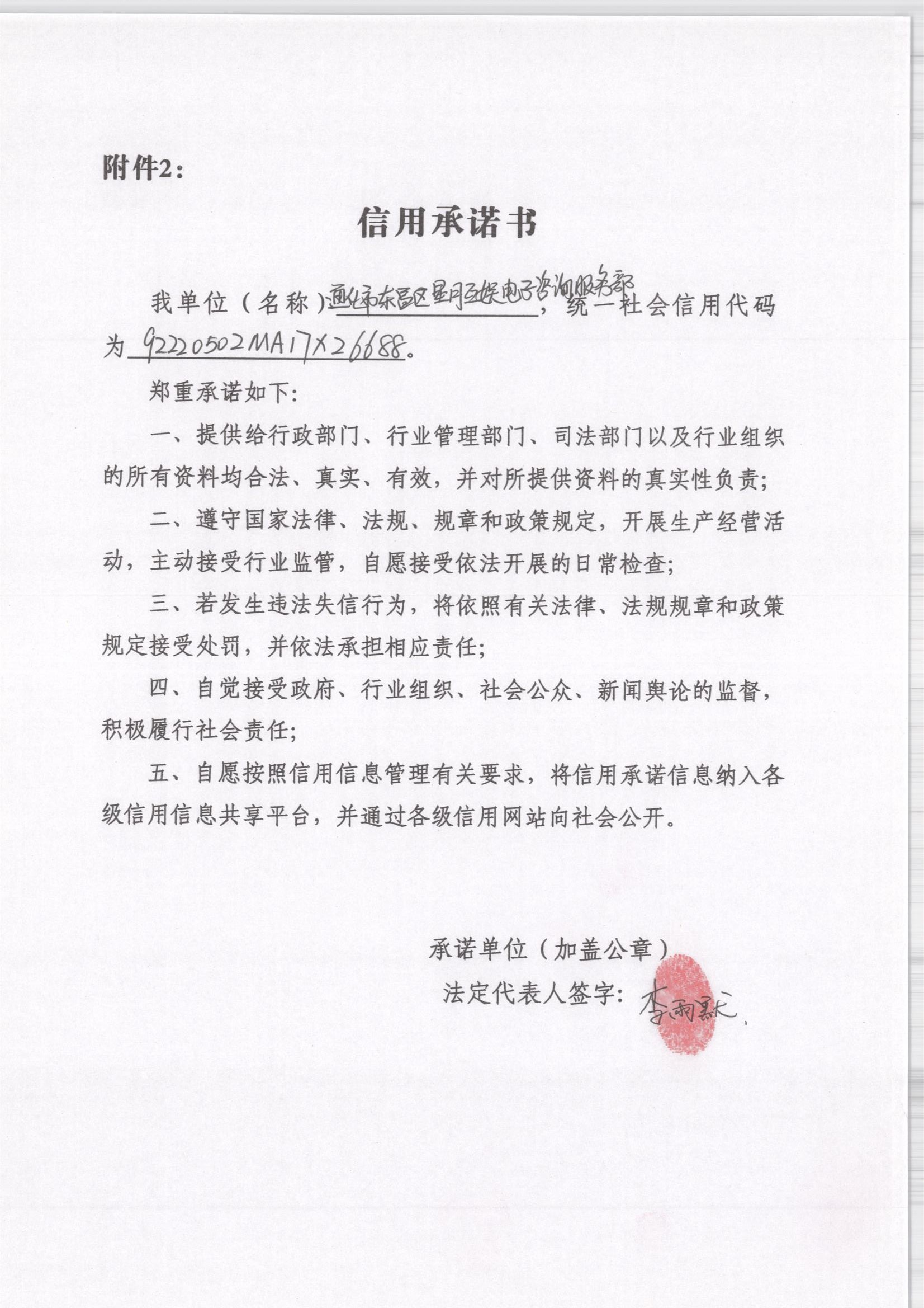 通化市东昌区星月互娱电子信息咨询服务部.jpg