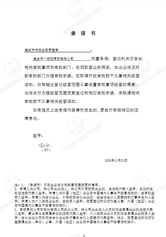 集安市一枝桠商贸有限公司.JPG