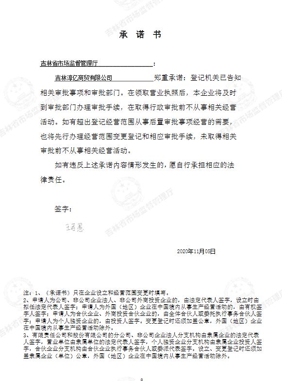 吉林淳亿商贸有限公司.JPG