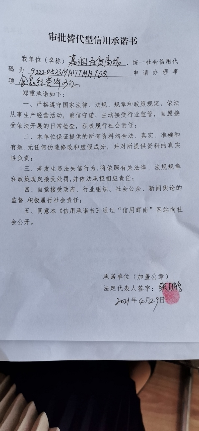 辉南县朝阳镇嘉润百货商场（审批替代型）.jpg