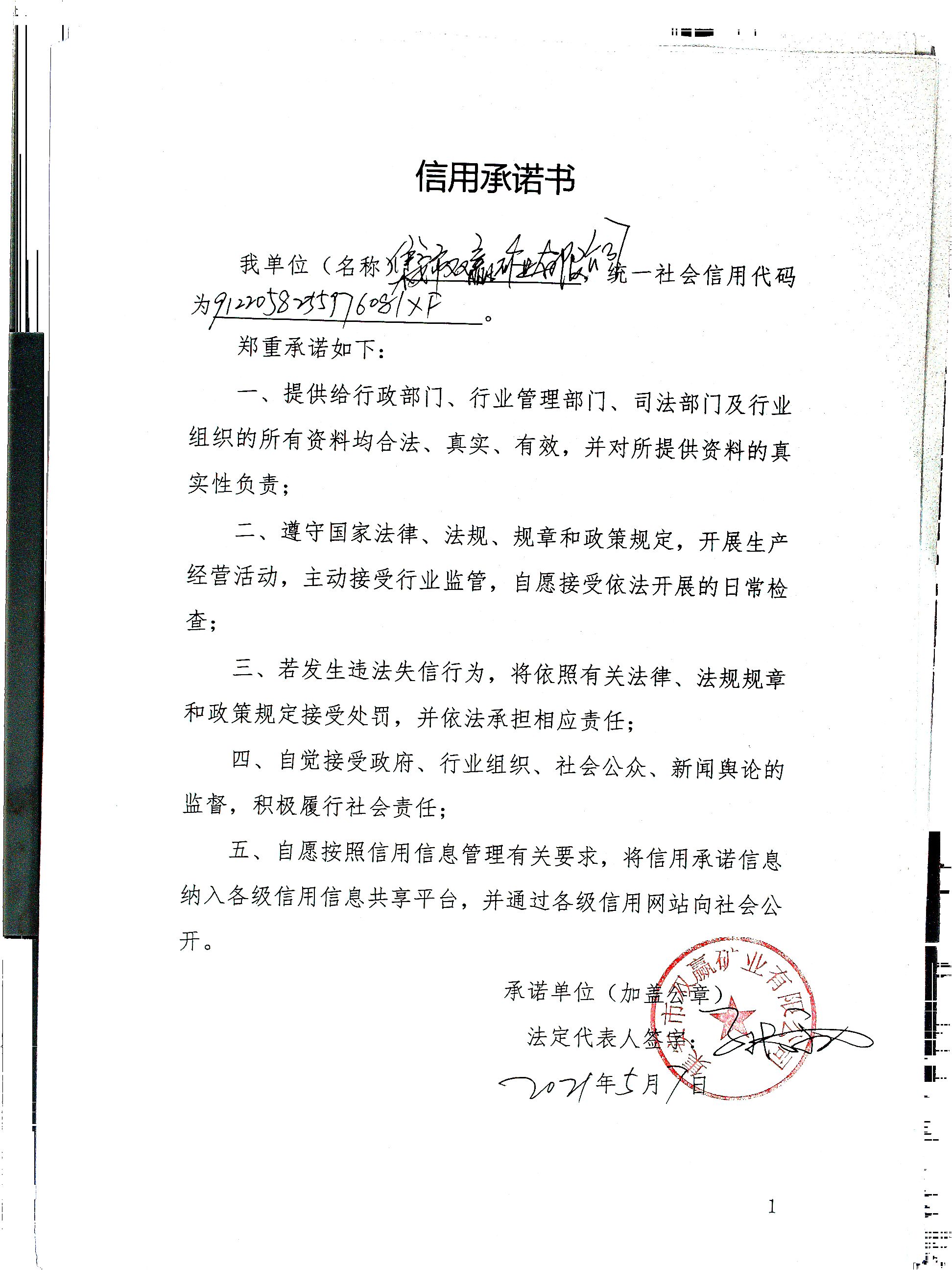 集安市双赢矿业有限公司.jpg