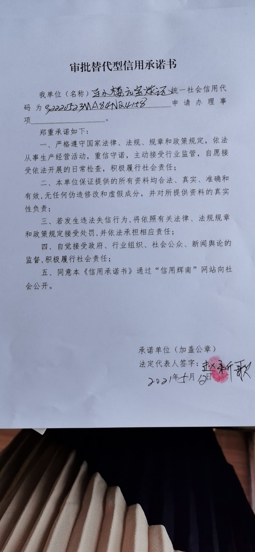 辉南县朝阳镇马小楼元宝炸记（审批替代型）.jpg