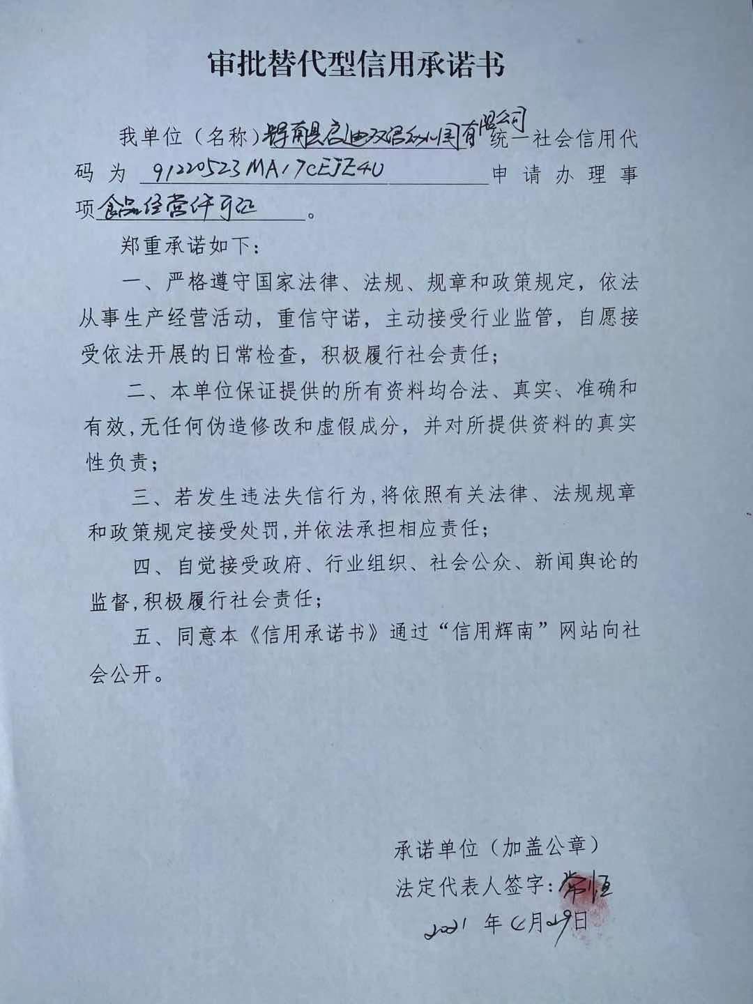 辉南县启迪双语幼儿园有限公司审批替代型.jpg