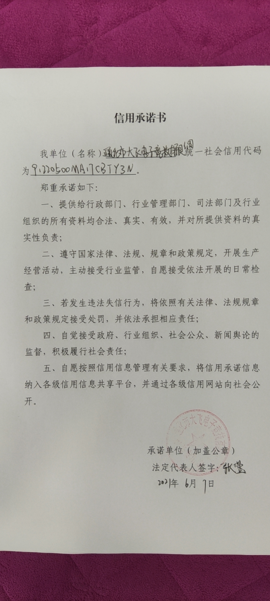 通化市大飞电子竞技有限公司.jpg