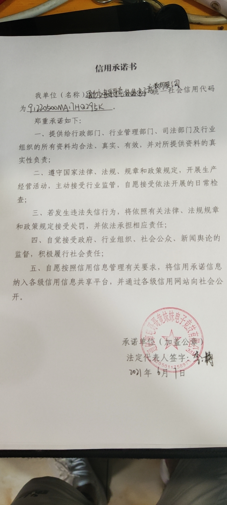 通化市电哥哥竞妹妹电子竞技有限公司.jpg