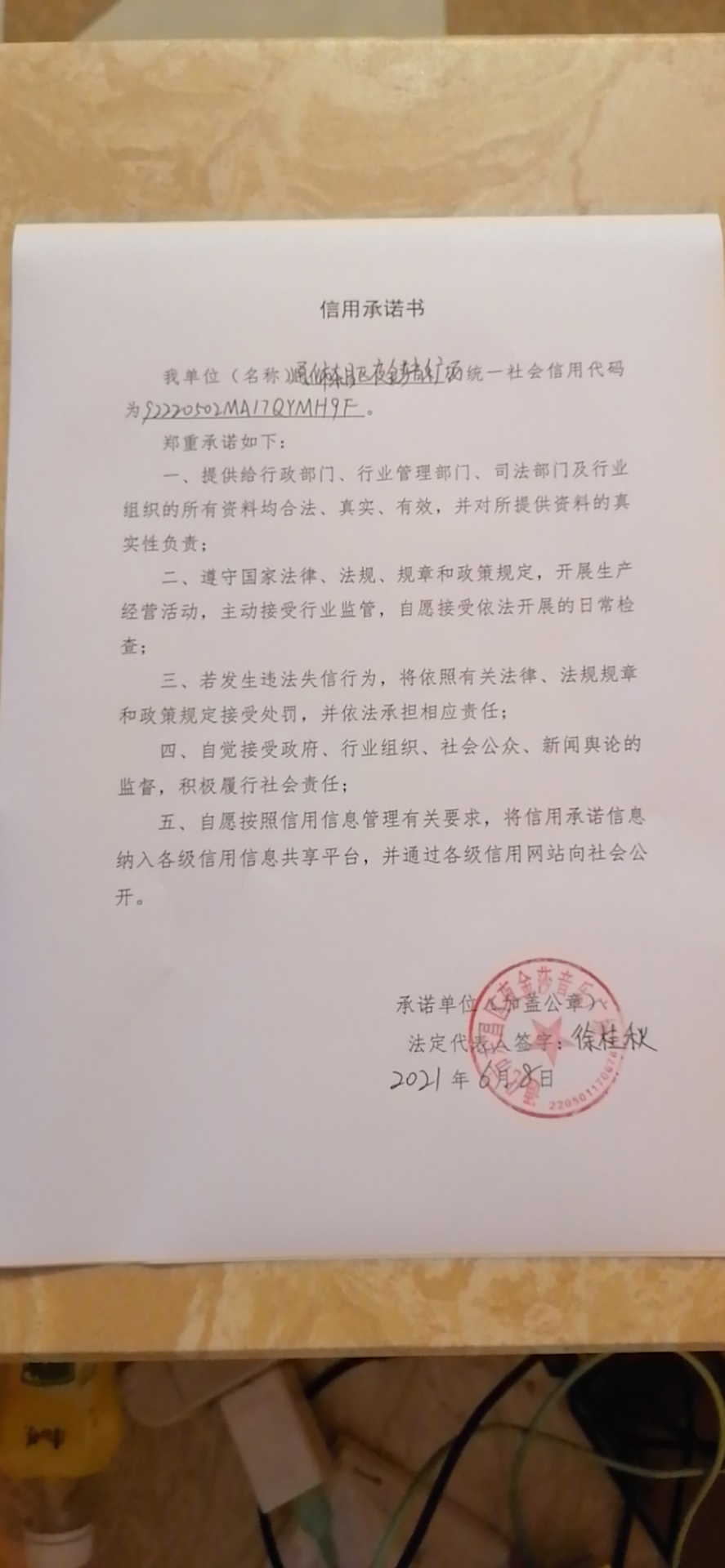 通化市东昌区夜金莎音乐广场.jpg
