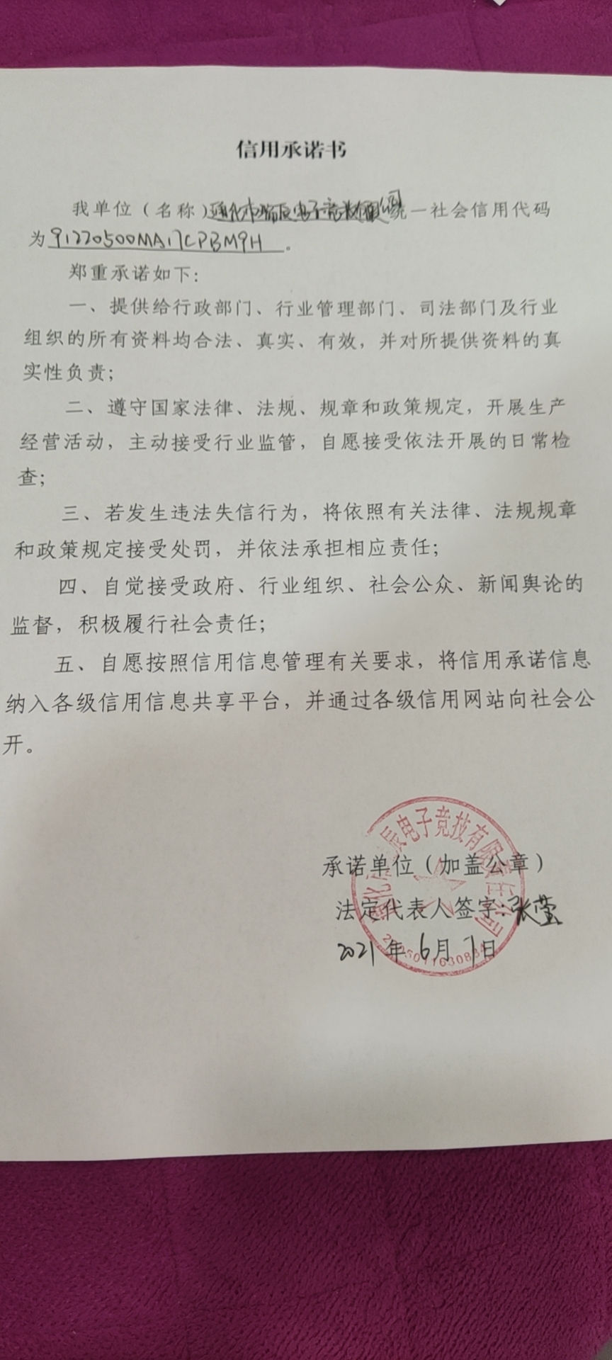 通化市瑞辰电子竞技有限公司.jpg