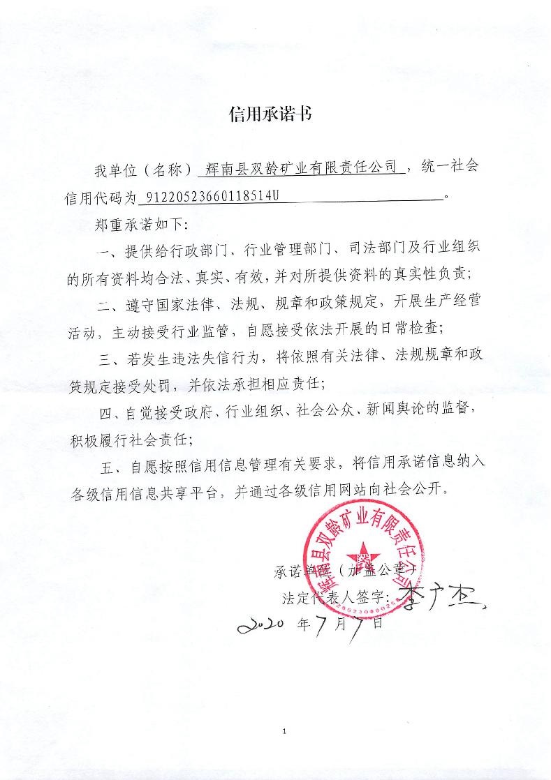 辉南县双龄矿业有限责任公司.jpg