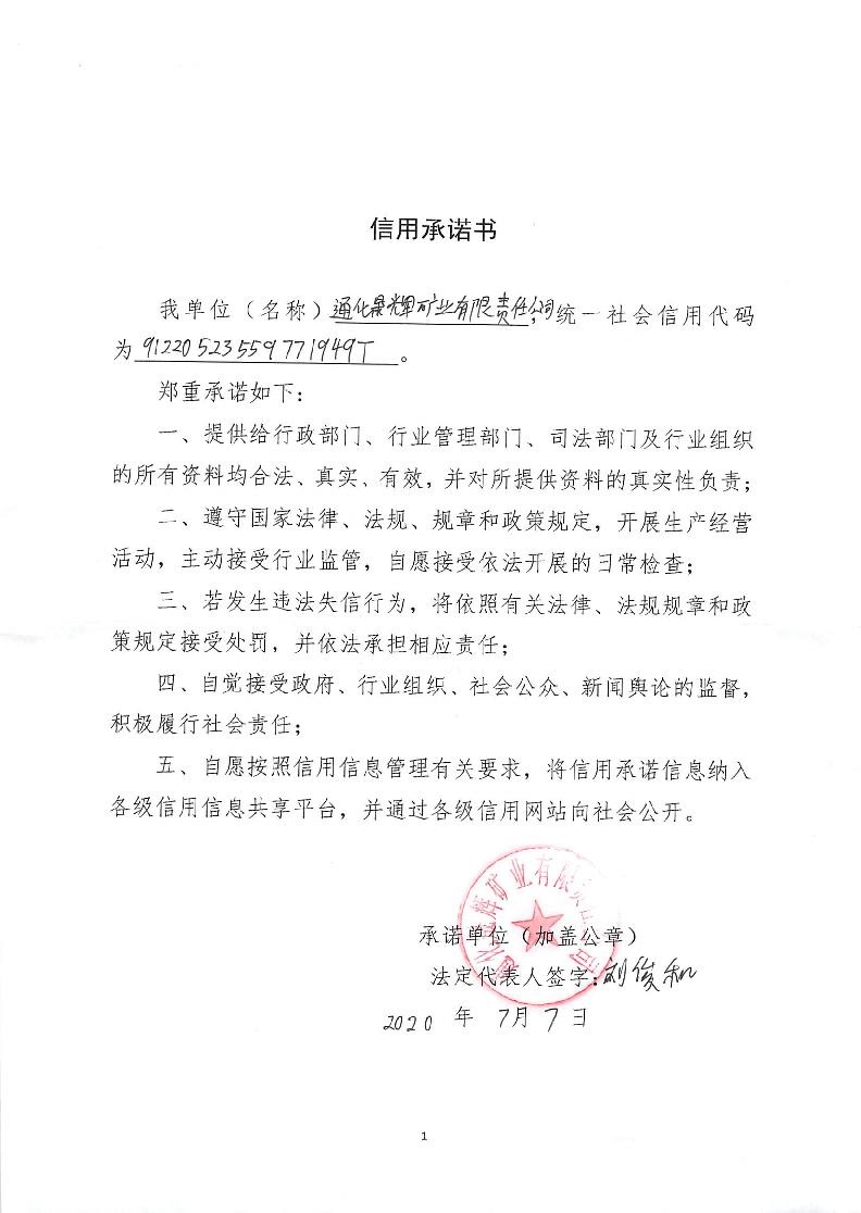 通化晟辉矿业有限责任公司.jpg