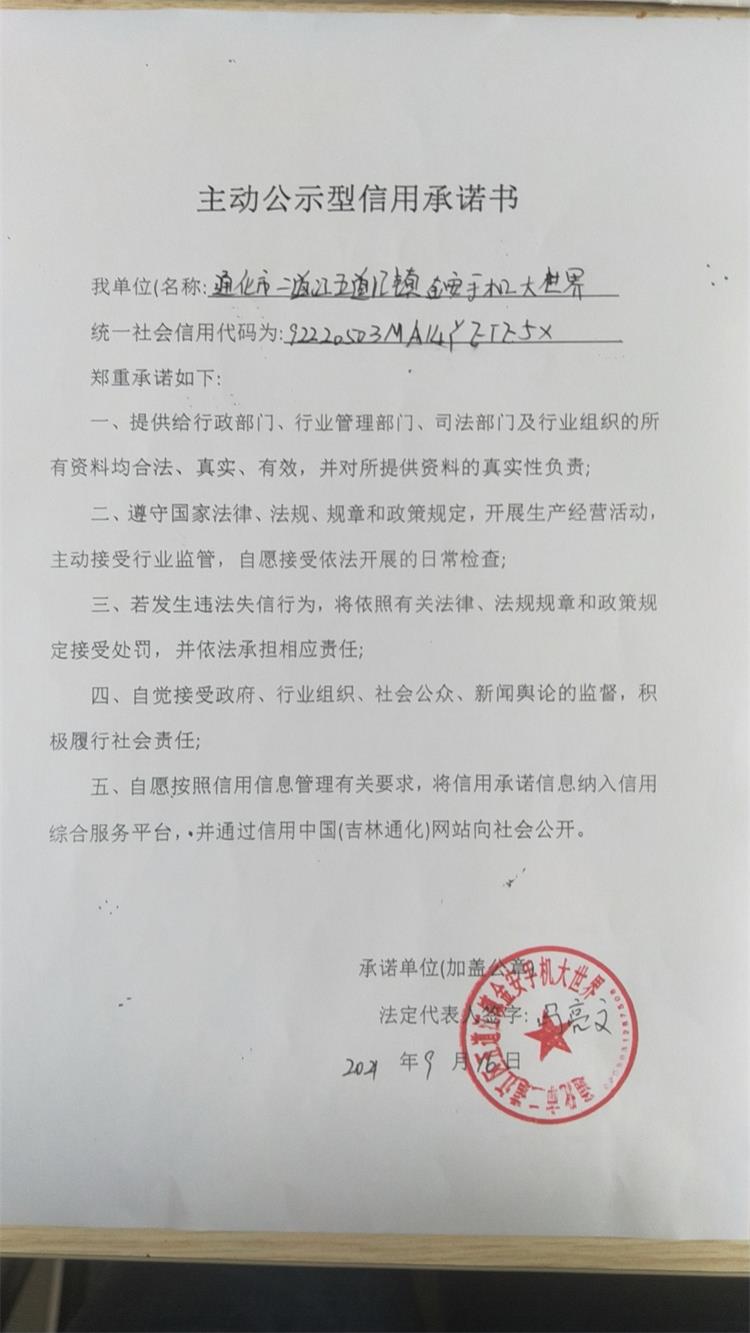 通化市二道江区五道江镇金安手机大世界.jpg
