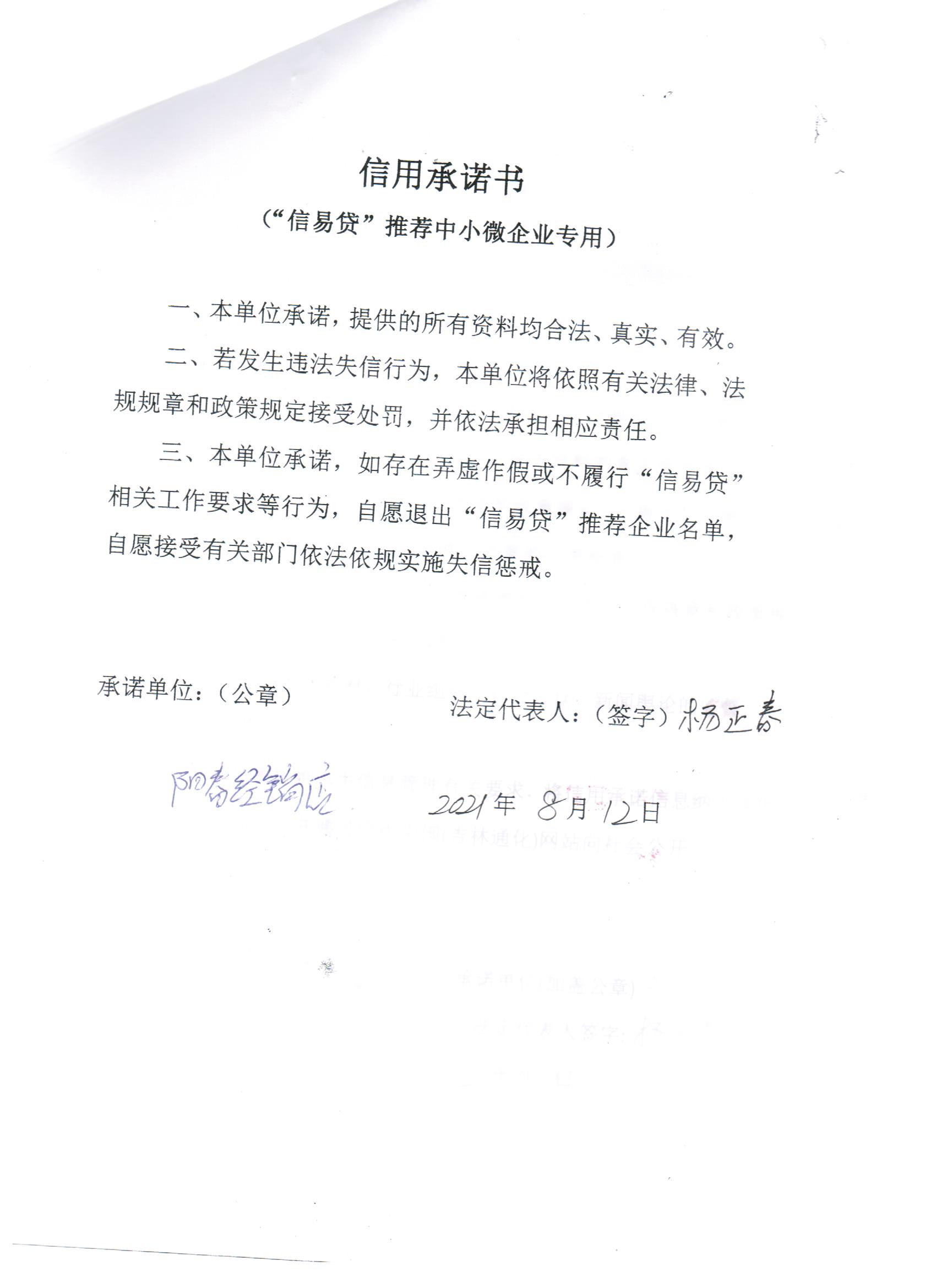 通化市二道江区铁厂镇阳春经销店.jpg