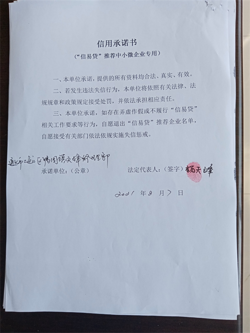 通化市二道江区鸭园镇天峰修理部I.jpg