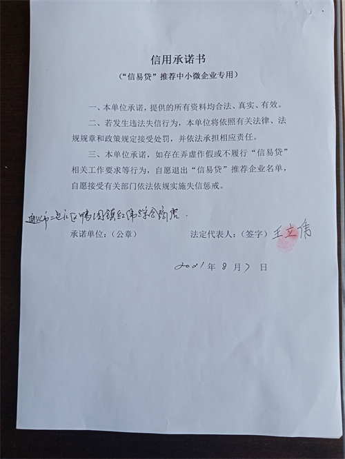 通化市二道江区鸭园镇红伟综合商店.jpg