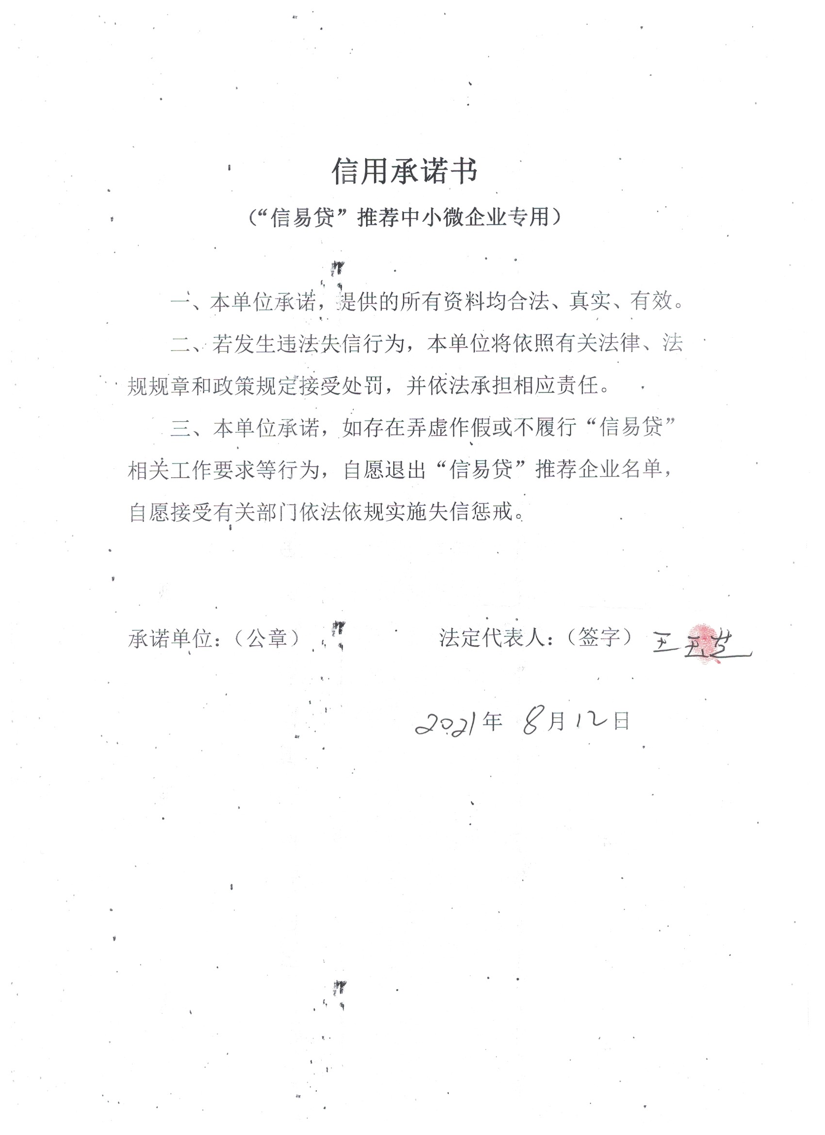 通化市二道江区铁厂镇新颖服装城.jpg