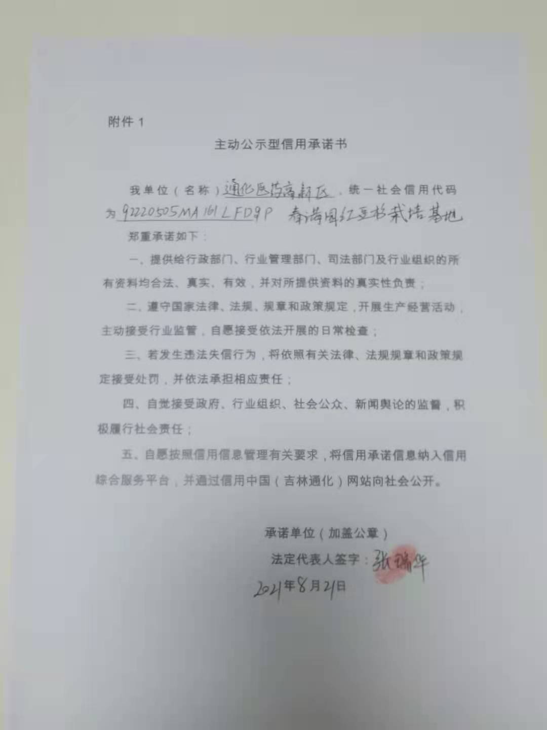 通化医药高新区春满园红豆杉栽培基地.jpg