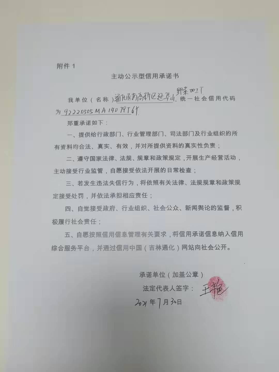 通化医药高新区延华山野菜加工厂.jpg