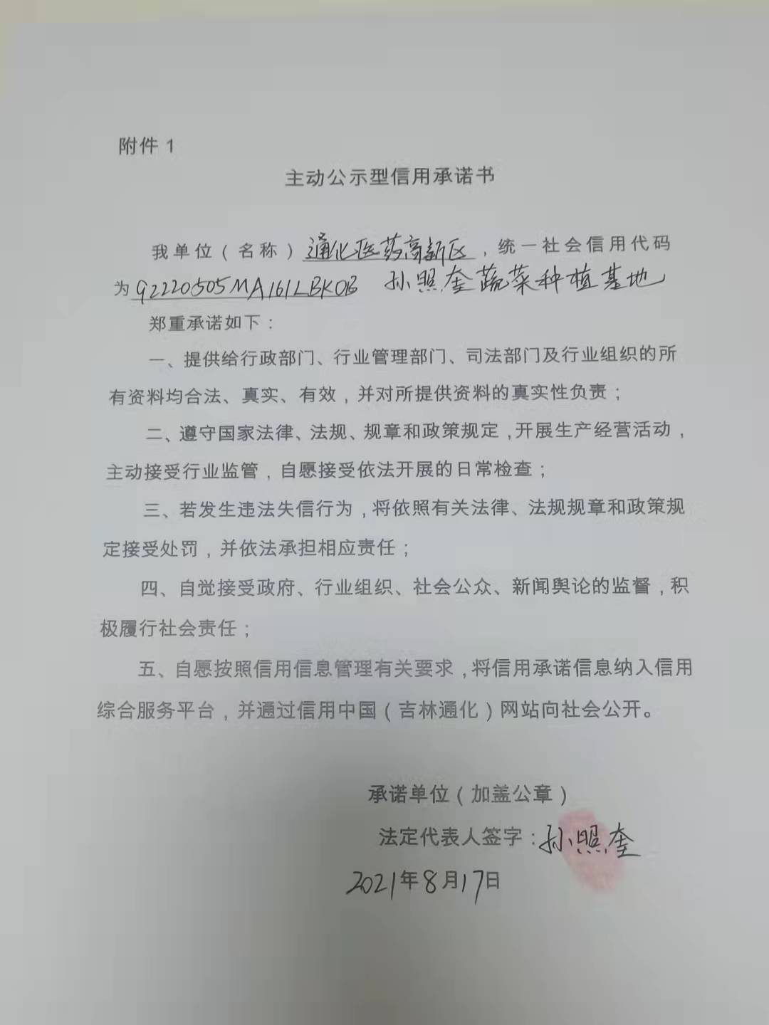 通化医药高新区孙照奎蔬菜种植基地.jpg