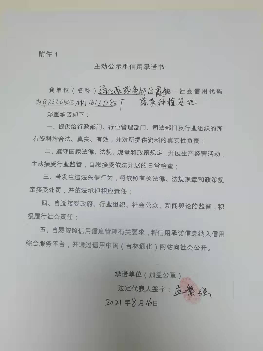 通化医药高新区霞光蔬菜种植基地.jpg