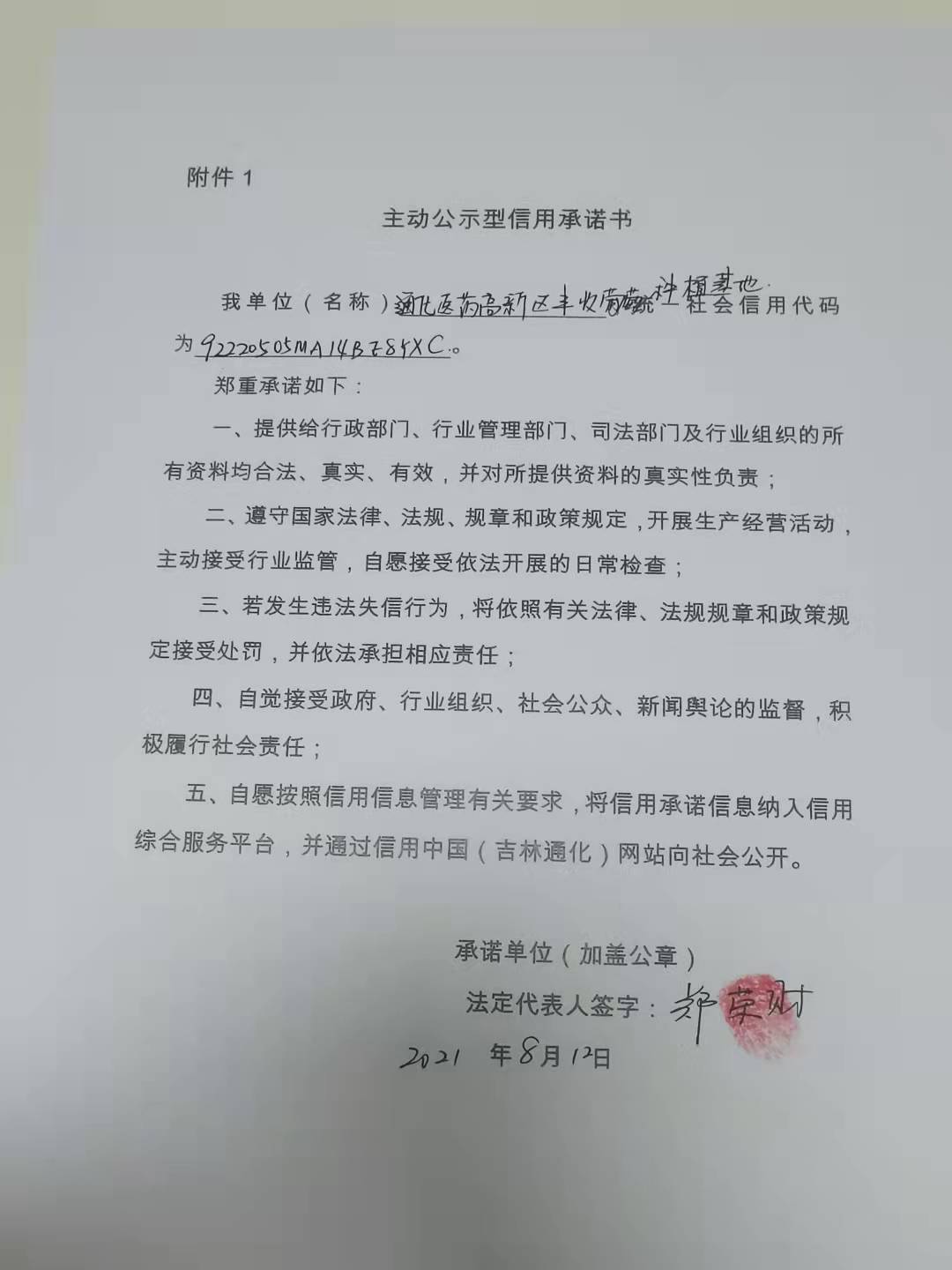 通化医药高新区丰收葡萄种植基地.jpg