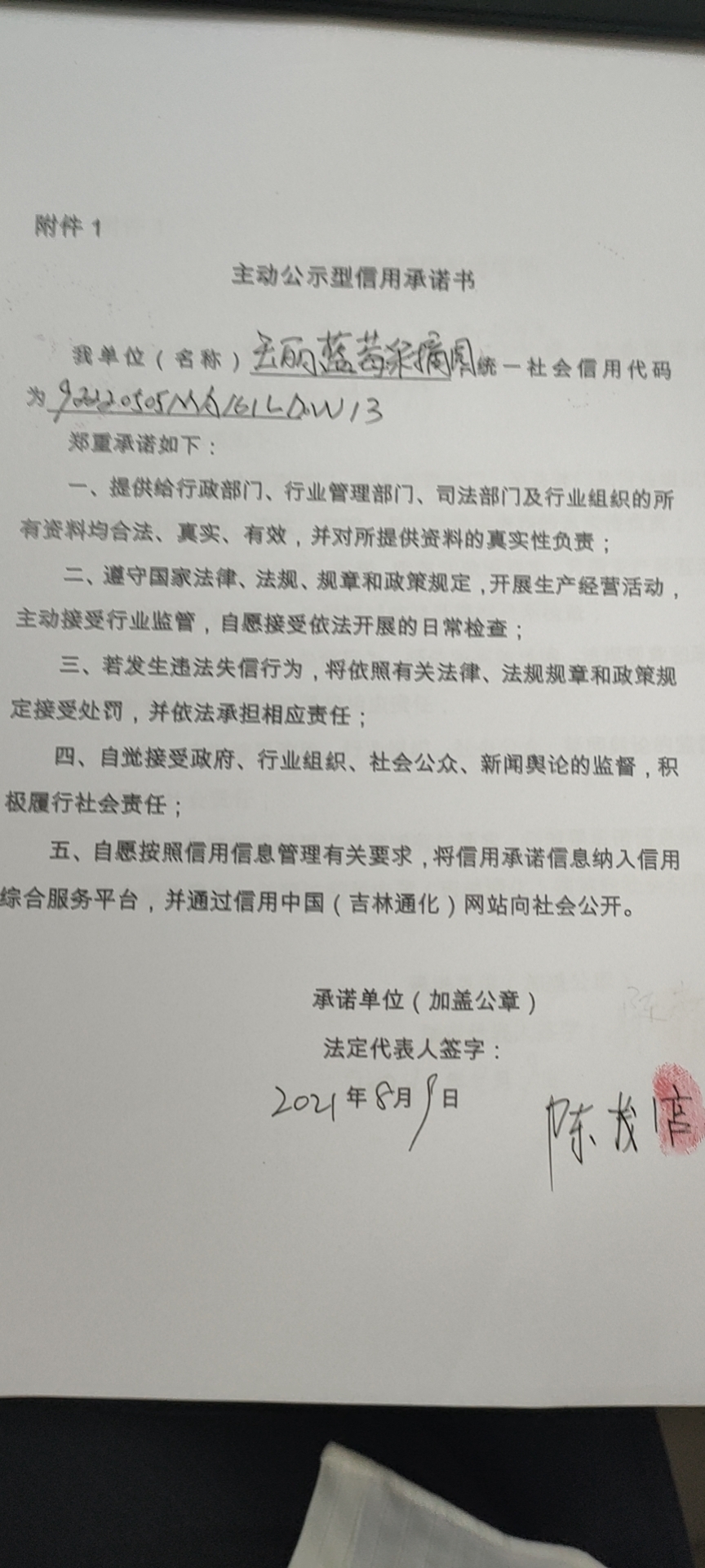 玉丽蓝莓采摘园.jpg