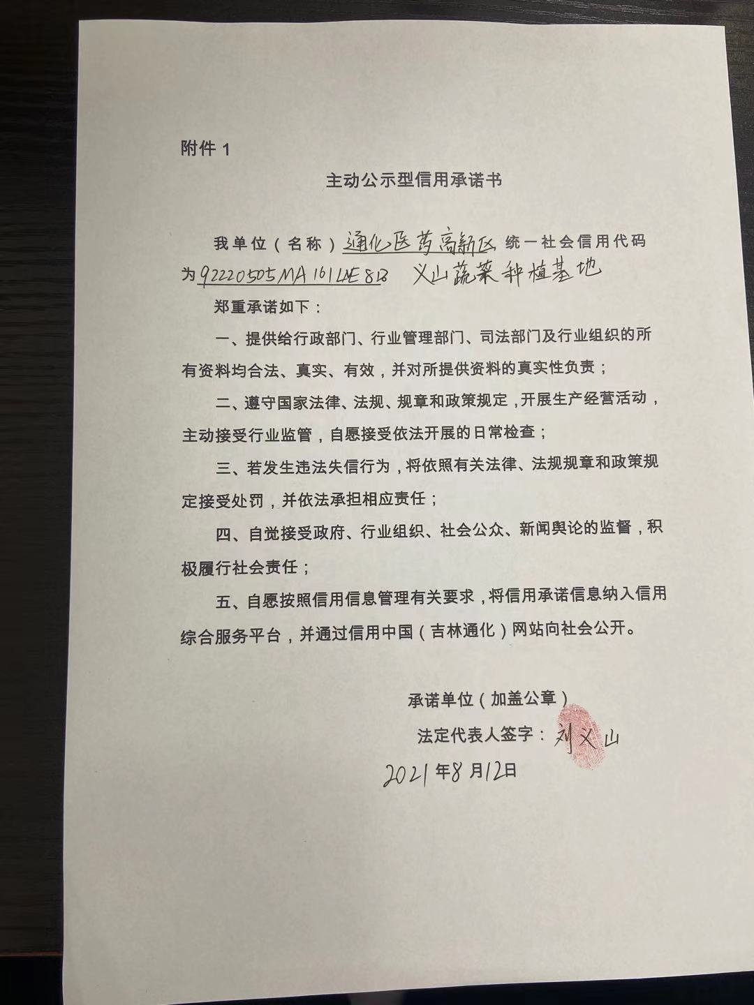 通化医药高新区义山蔬菜种植基地.jpg