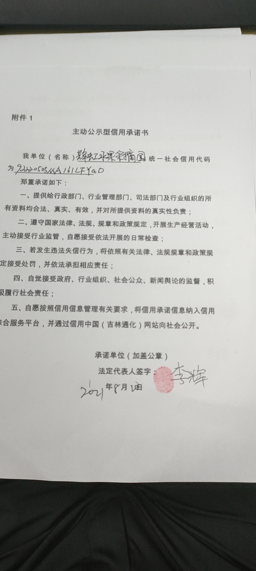 通化医药高新区辉虹水果采摘园.jpg