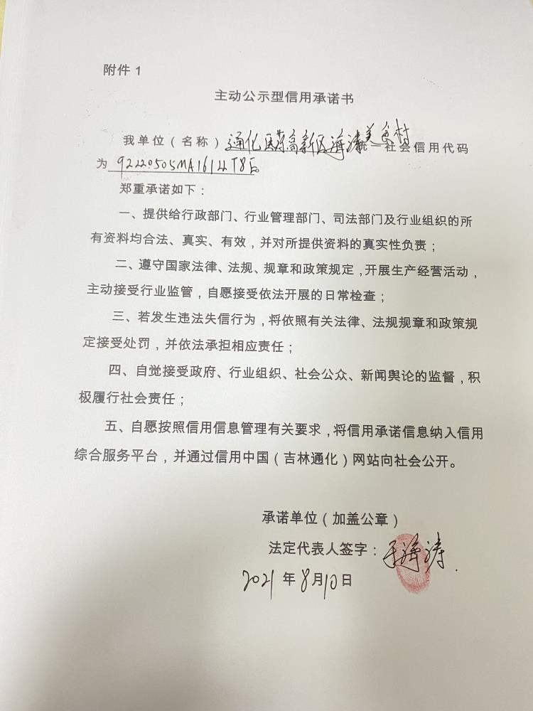 通化医药高新区海清美食村.JPG